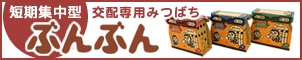 短期集中型交配専用みつばち　ぶんぶん