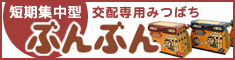 短期集中型交配専用みつばち　ぶんぶん