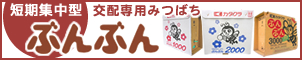 短期集中型交配専用みつばち　ぶんぶん