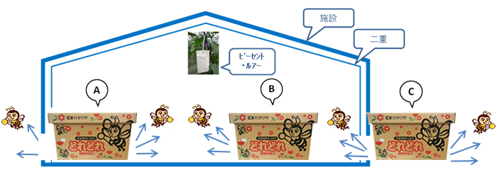 どれどれの設置場所