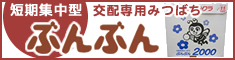 短期集中型交配専用みつばち　ぶんぶん